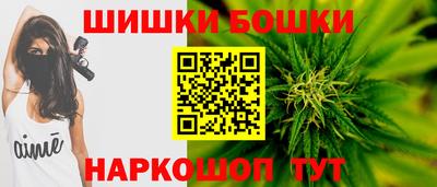 стаф Будённовск