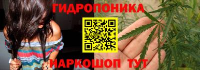 стаф Будённовск