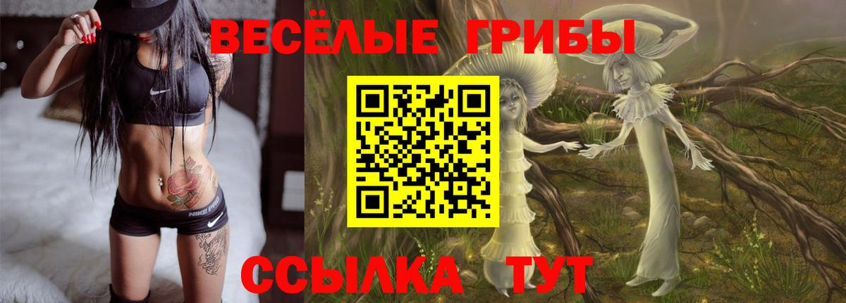 Псилоцибиновые грибы Cubensis  купить наркотик  Нурлат  Вход с VPN 